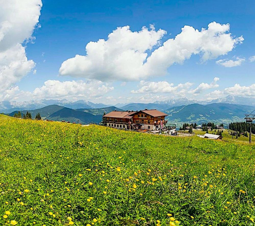 Gasthof Jandlalm Hotel Flachau Kültér fotó