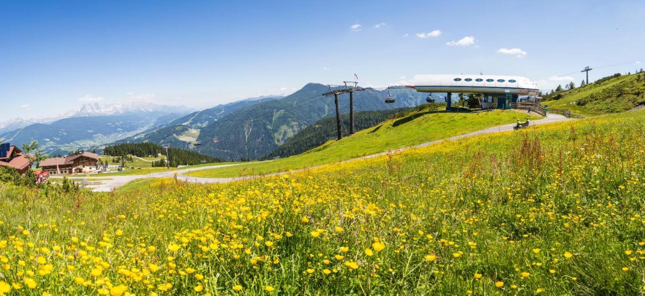 Gasthof Jandlalm Hotel Flachau Kültér fotó