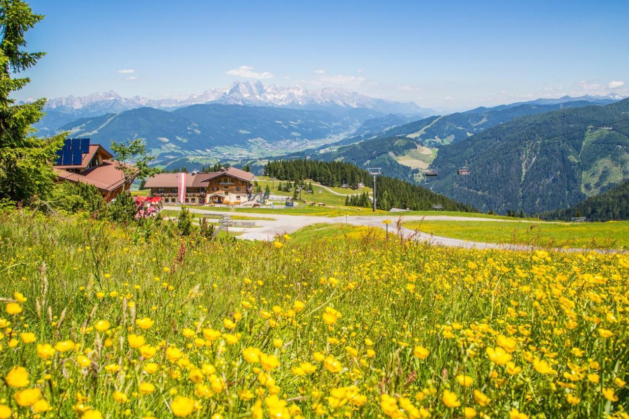 Gasthof Jandlalm Hotel Flachau Kültér fotó